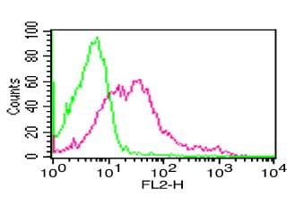 ANPEP / CD13 Antibody (clone BF10)
