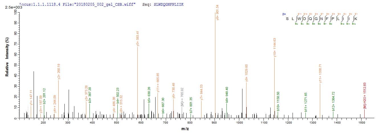 Human CD4 Protein (Recombinant 6His, N-terminus)