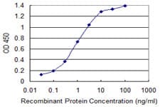 Monoclonal Mouse anti-Human SIAH1 Antibody (clone 2C5, WB)