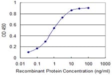 IHC-plus™ RELA / NFKB p65 Antibody (clone 8G3)
