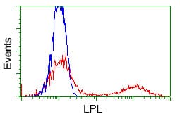 LPL / Lipoprotein Lipase Antibody (clone OTI4G2)