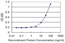 Monoclonal Mouse anti-Human HSPA4 / APG-2 Antibody (clone 3A11, WB)