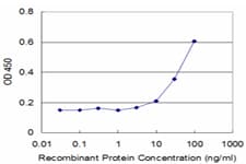 STK3 Antibody (clone 1B3)