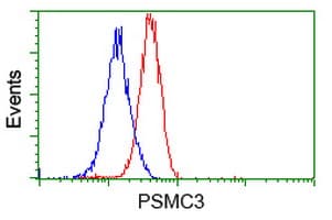 PSMC3 Antibody (clone OTI1G4)