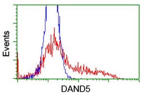 DAND5 Antibody (aa23-189, clone OTI3A3, Carrier-free)