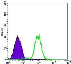 CA9 / Carbonic Anhydrase IX Antibody (clone 2D3)
