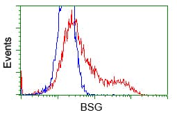 Basigin / Emmprin / CD147 Antibody (clone OTI9H5)
