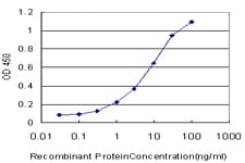 DVL3 / Dishevelled 3 Antibody (clone 4H2)