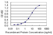 Monoclonal Mouse anti-Human ARHGAP35 / GRLF1 Antibody (clone 4D4-F8)