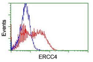 ERCC4 / XPF Antibody (clone OTI3H7)