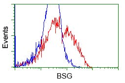 Basigin / Emmprin / CD147 Antibody (clone OTI9B10)