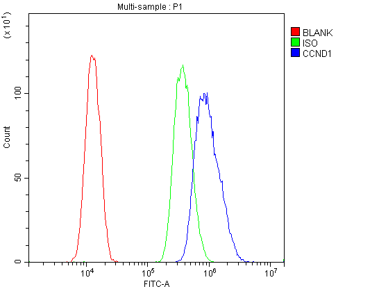 CCND1 / Cyclin D1 Antibody (aa19-37)