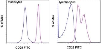 Monoclonal Mouse anti-Human ITGB1 / Integrin Beta 1 / CD29 Antibody (clone TS2/16, FITC)