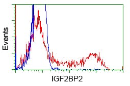 IGF2BP2 Antibody (clone OTI4C4, Carrier-free)