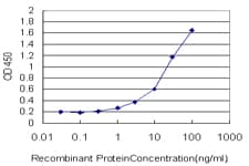 GPD2 Antibody (clone 2C11-1F4)