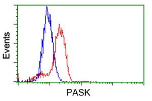PAS Kinase / PASK Antibody (clone OTI8G9, Carrier-free)