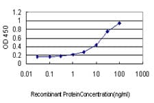 ATF3 Antibody (clone 6B8)