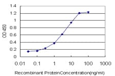 Monoclonal Mouse anti-Human FOXA2 Antibody (clone 6C12, IF, WB)