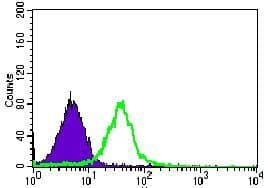 Monoclonal Mouse anti-Human ALK3 / BMPR1A Antibody (clone 4B7B2, Amino Acid: 179-378, IHC, WB)