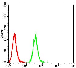 Complement C1QA Antibody (clone 1C7G3)