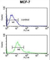 IMPDH2 Antibody (aa180-210)