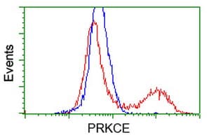 Monoclonal Mouse anti-Human PRKCE / PKC-Epsilon Antibody (clone OTI3F10, IF, WB)