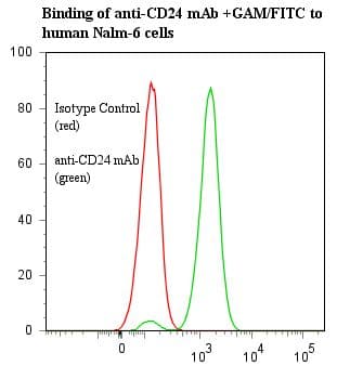 CD24 Antibody (clone BA-1)