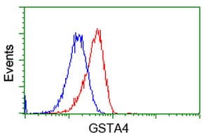 GSTA4 Antibody (clone OTI3F5)