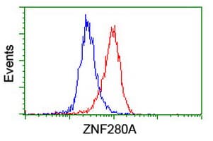 ZNF280A Antibody (aa1-333, clone OTI2H3, Carrier-free)