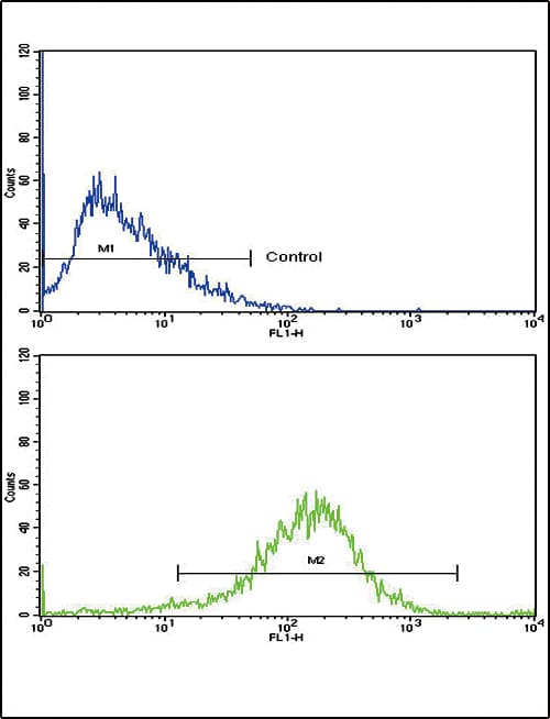 NAT2 Antibody (aa226-254)