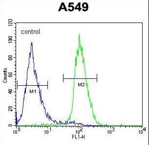 CIART / C1orf51 Antibody (aa18-47)
