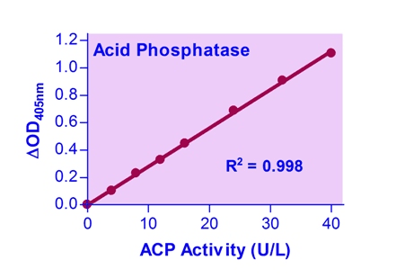 Acid Phosphatase (ACP) Assay Kit (Colorimetric)