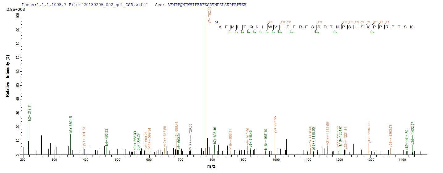 Clostridium botulinum botD Protein (Recombinant 6His-B2M, N-terminus)