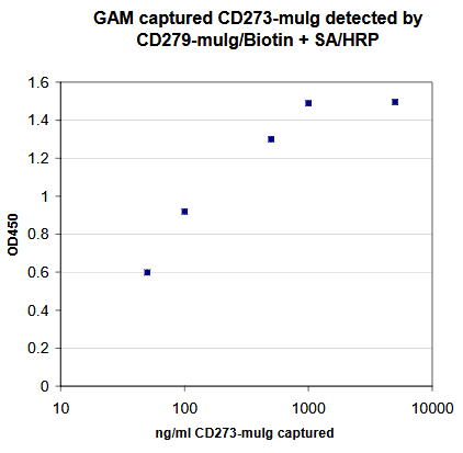 Human PD-L2 / PDCD1LG2 / CD273 Protein (Recombinant)