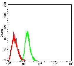 CLEC10A / CD301 Antibody (clone 2C5C6F10)