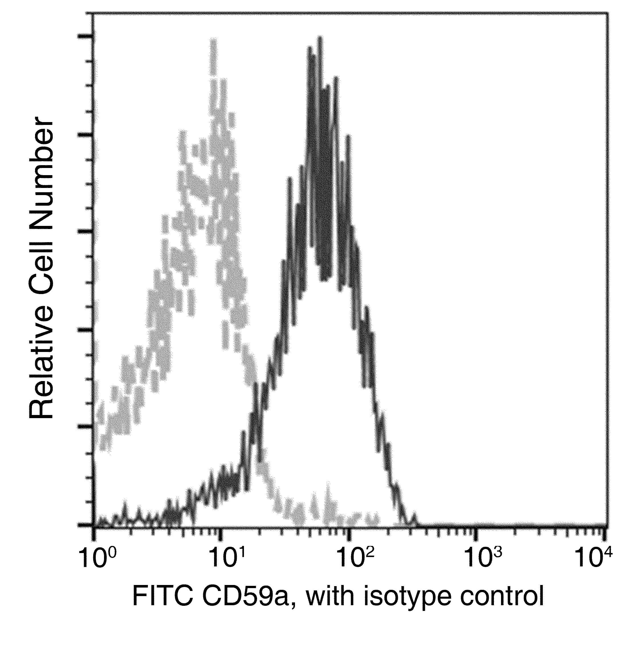 cd59a Antibody (clone 108, FITC)