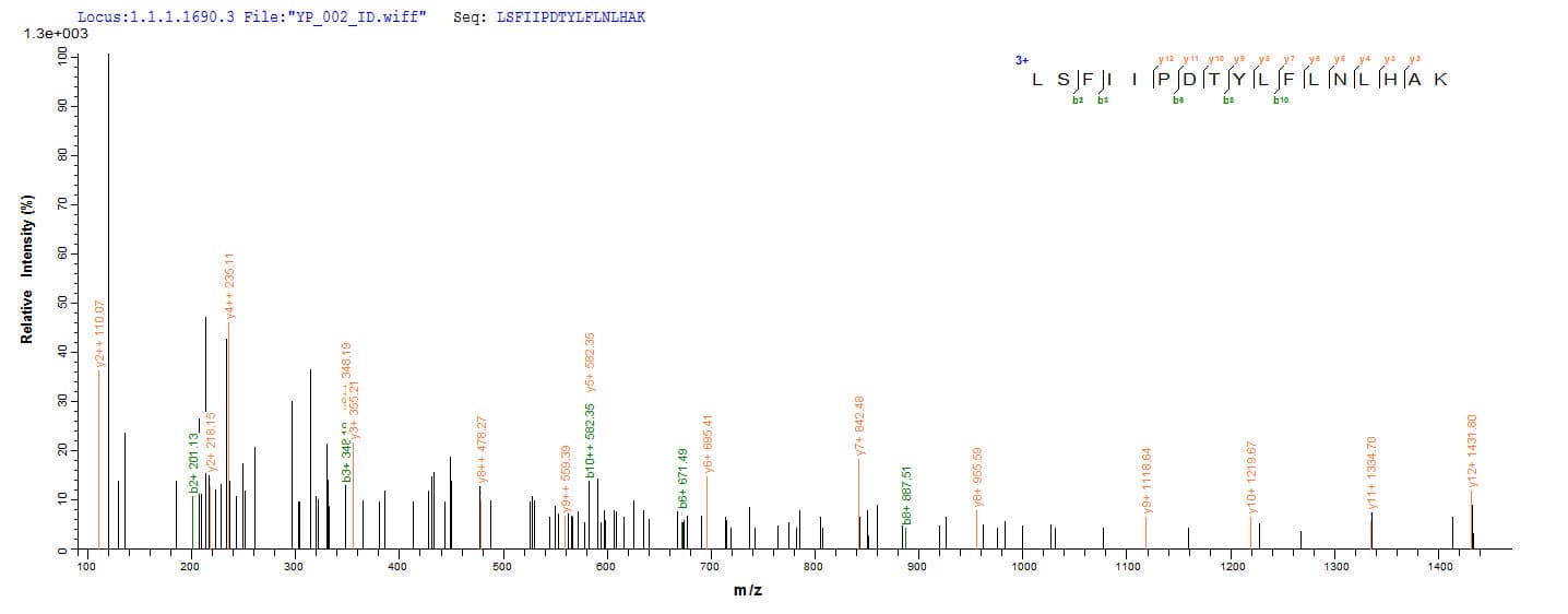 Gardnerella vaginalis Modification Methylase AccI Protein (Recombinant 6His, N-terminus)