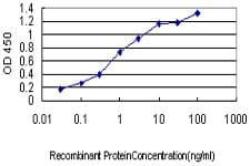 ASNA1 Antibody (clone 2H3)