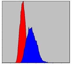 IRAK4 / IRAK-4 Antibody (clone 2H9)