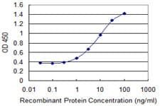 Monoclonal Mouse anti-Human FUT5 Antibody (clone 1H6, WB)