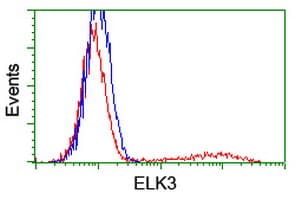 Monoclonal Mouse anti-Human ELK3 / NET Antibody (clone OTI3D9, IF, WB)