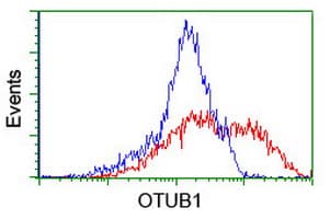 OTUB1 / OTU1 Antibody (clone OTI5B8)