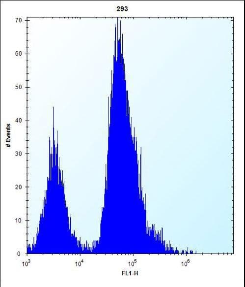 EIF4EBP1 / 4EBP1 Antibody (aa31-61)