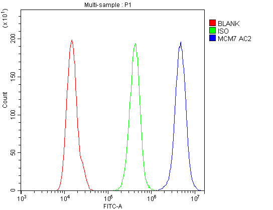 MCM7 Antibody (aa699-719)