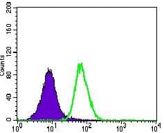 ITGB4 / Integrin Beta 4 Antibody (Amino Acid: 1619-1822, clone 10B10D5)