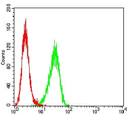 BTRCP / BETA-TRCP Antibody (clone 4C5D8)