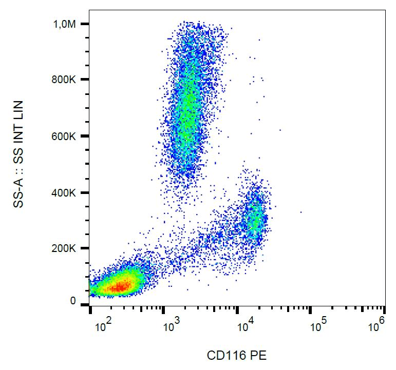 Monoclonal Mouse anti-Human CSF2RA / CD116 Antibody (clone 4H1, PE, IHC, WB)