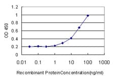 FKBP4 / FKBP52 Antibody (clone 5C11)