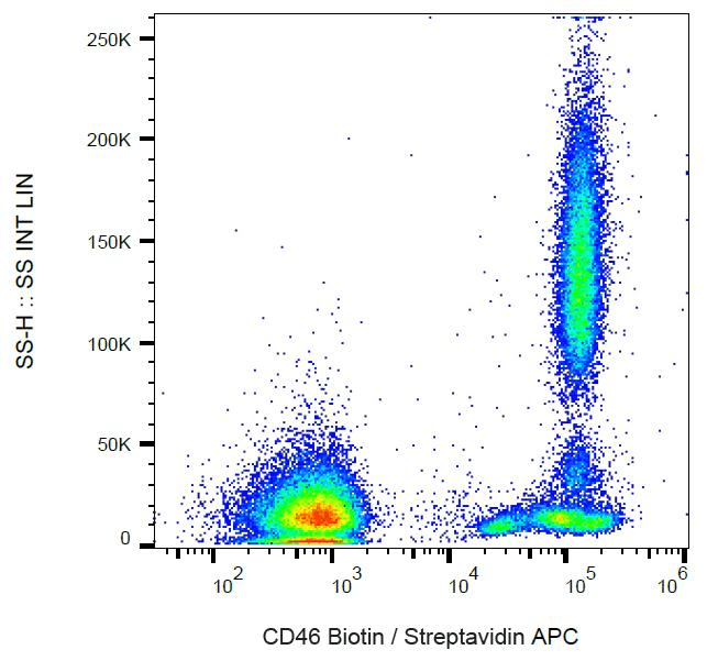 Monoclonal Mouse anti-Human CD46 Antibody (clone MEM-258, Biotin, WB)