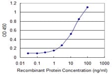 UGCG Antibody (clone 1E5)